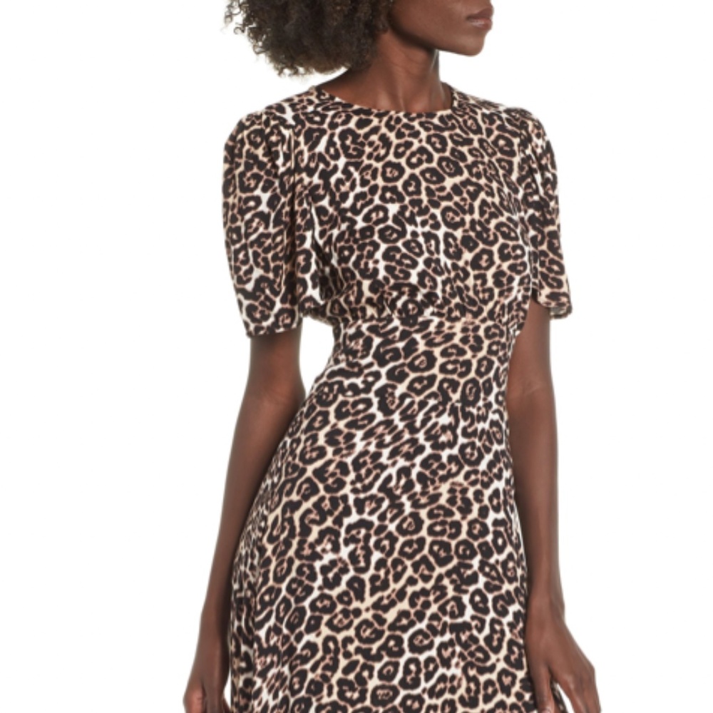 AFRM Animal Print Dress